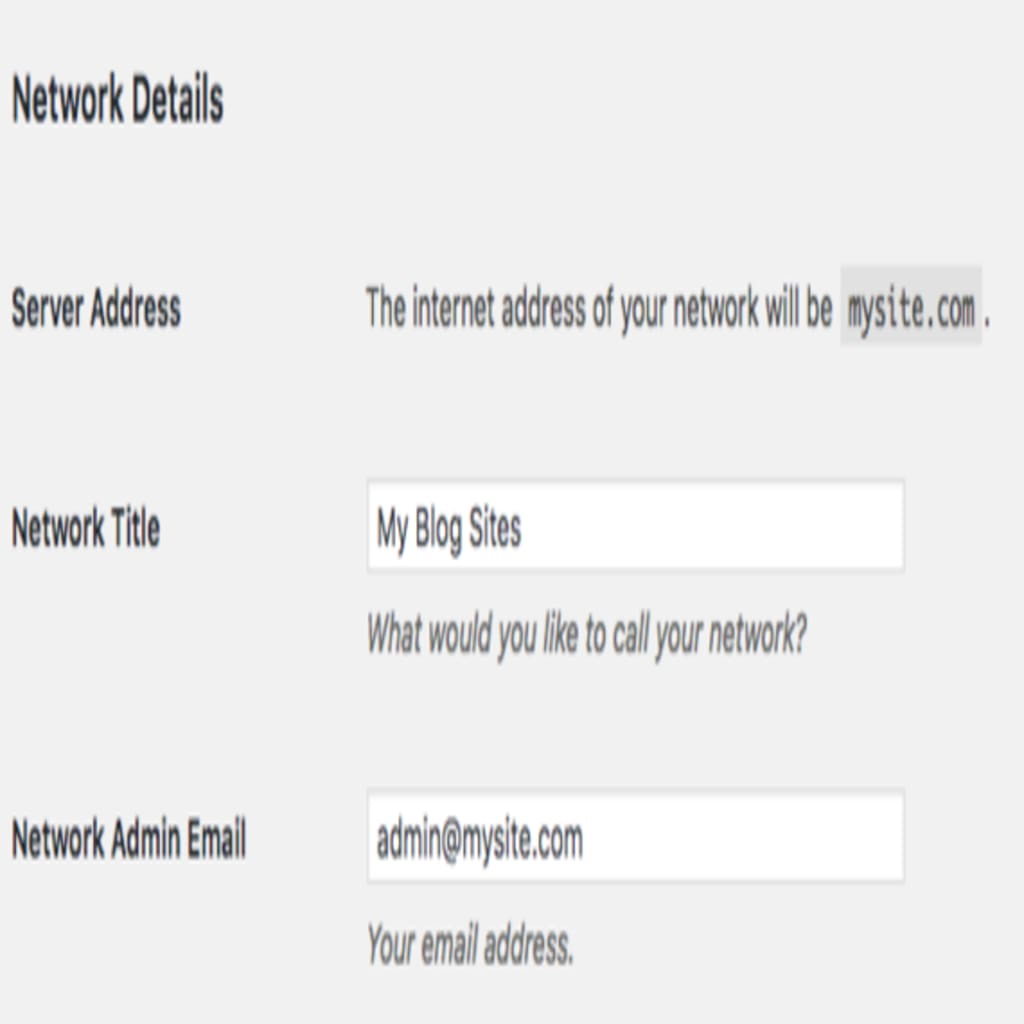 network details section