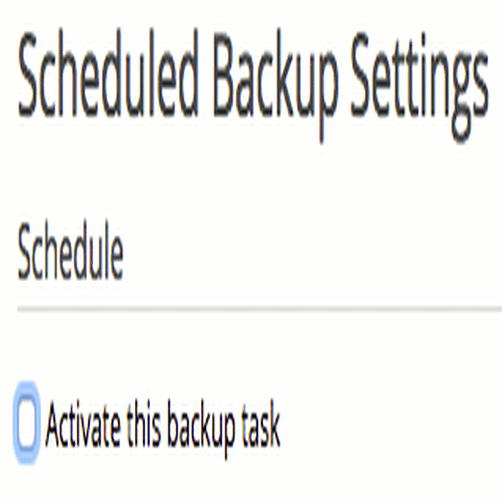 gif showing activate this backup task box checked