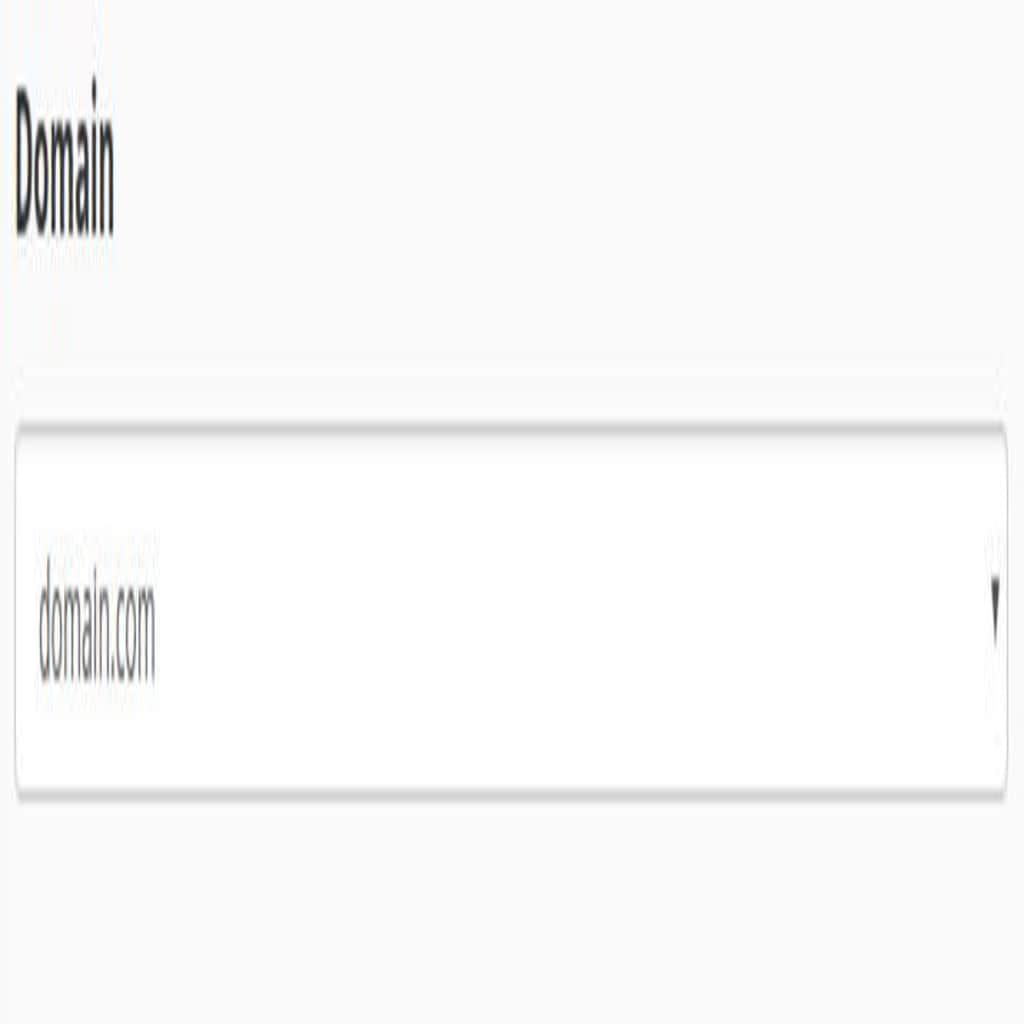 domain selected