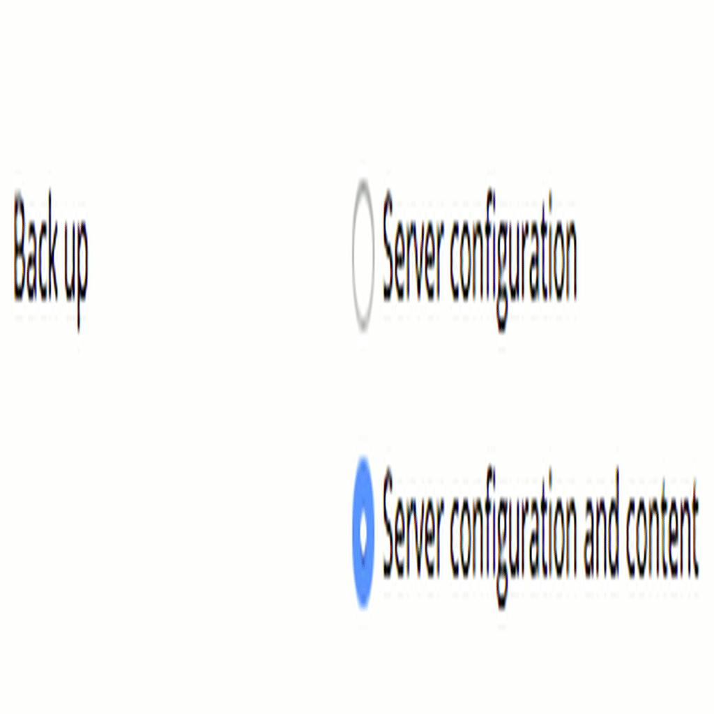 choosing the backup content