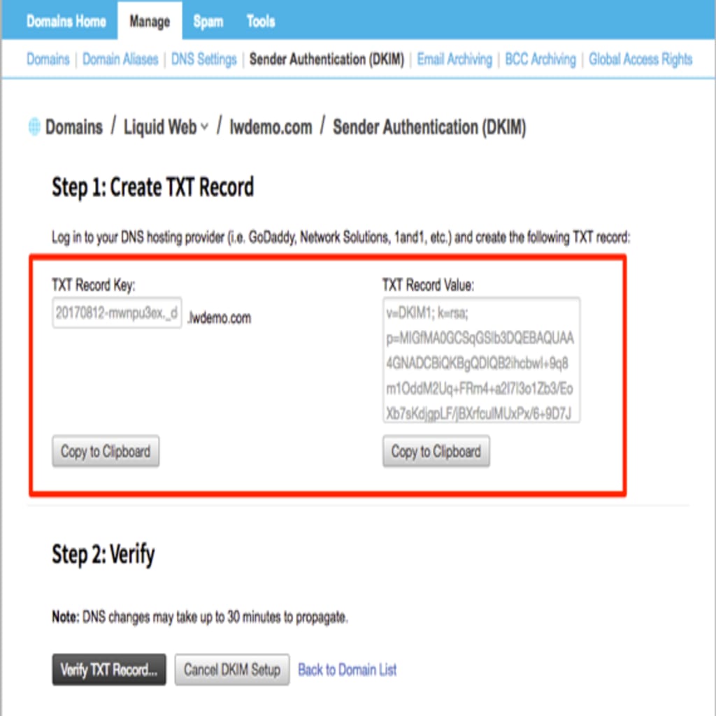 txt record section highlighted