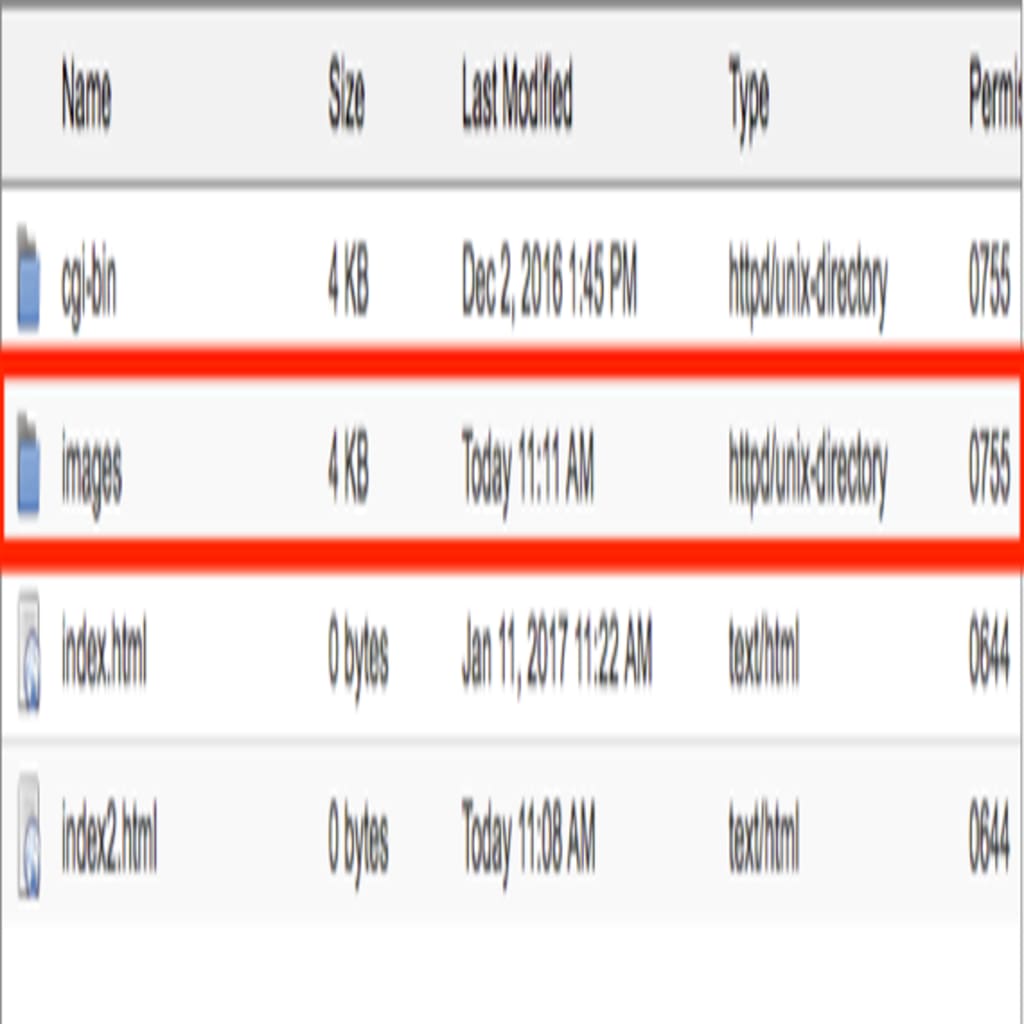 New folder highlighted in public_html list