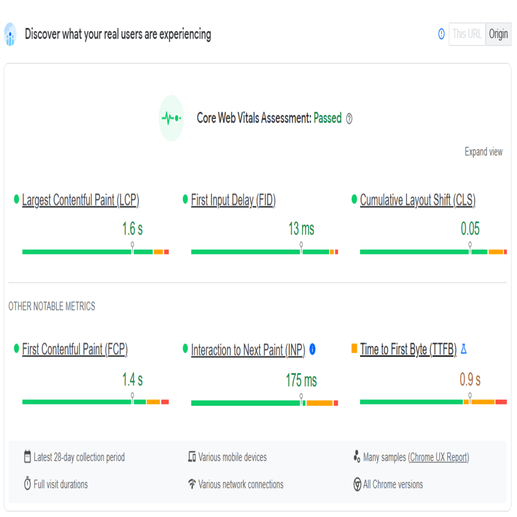 PageSpeed Insights results of a website.