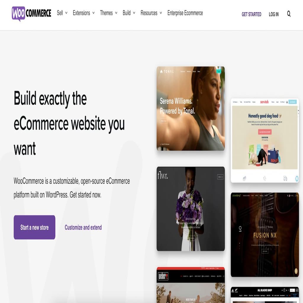 WooCommerce is an excellent online shopping cart plugin for WordPress websites.