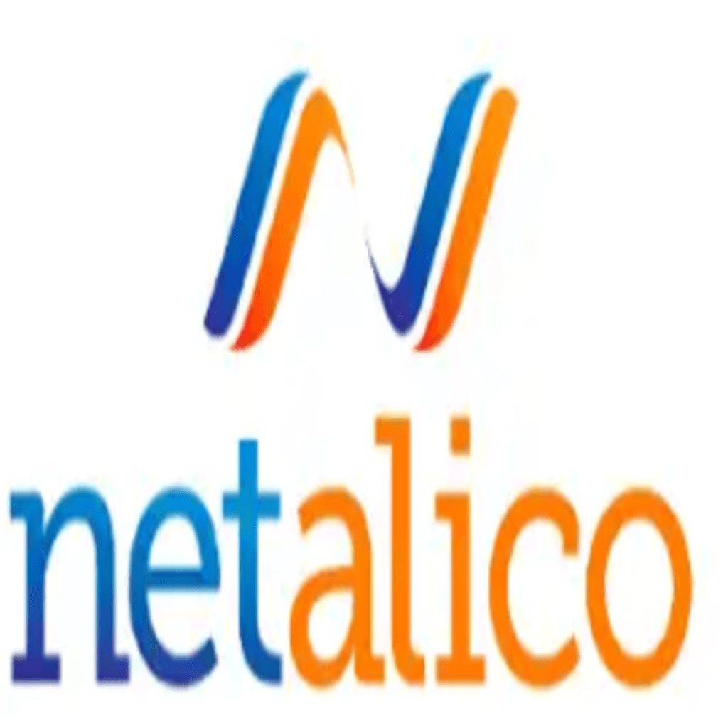 Netalico logo