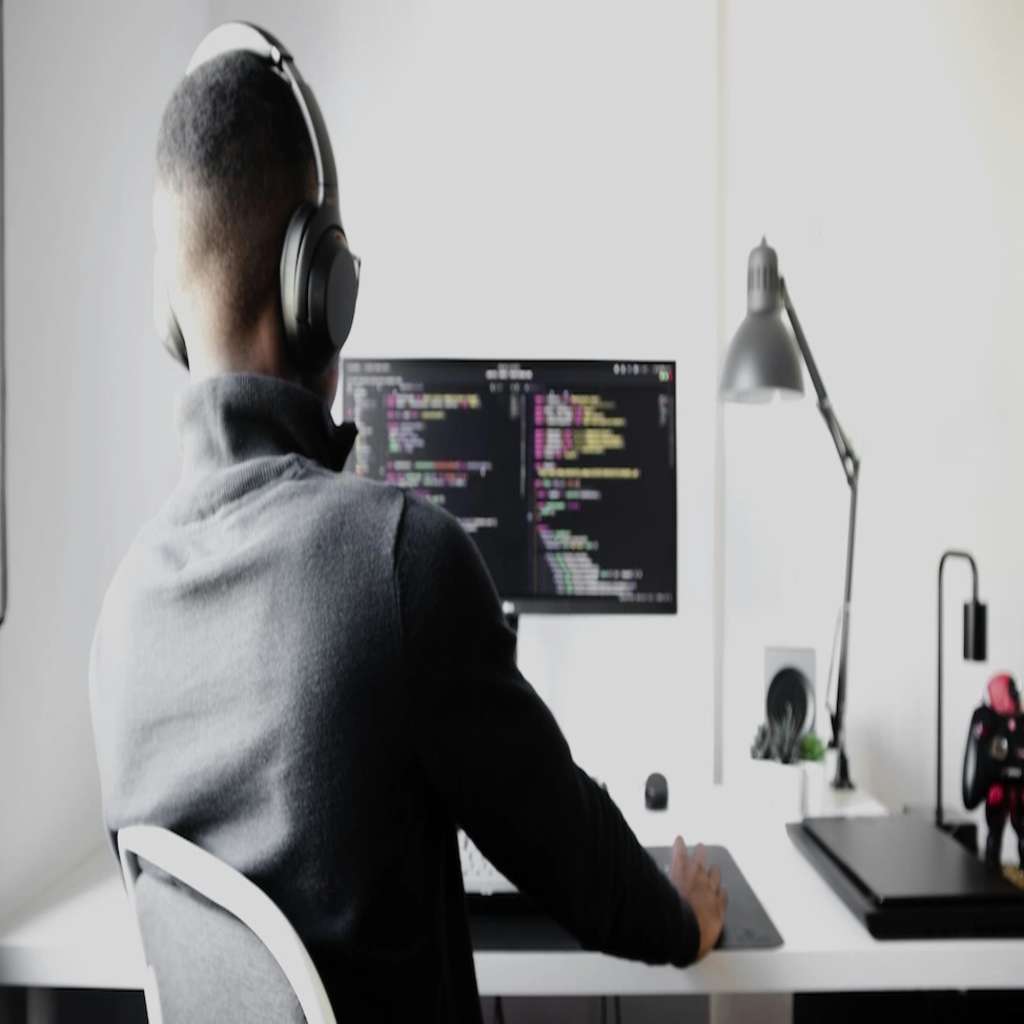 freelance wp developer