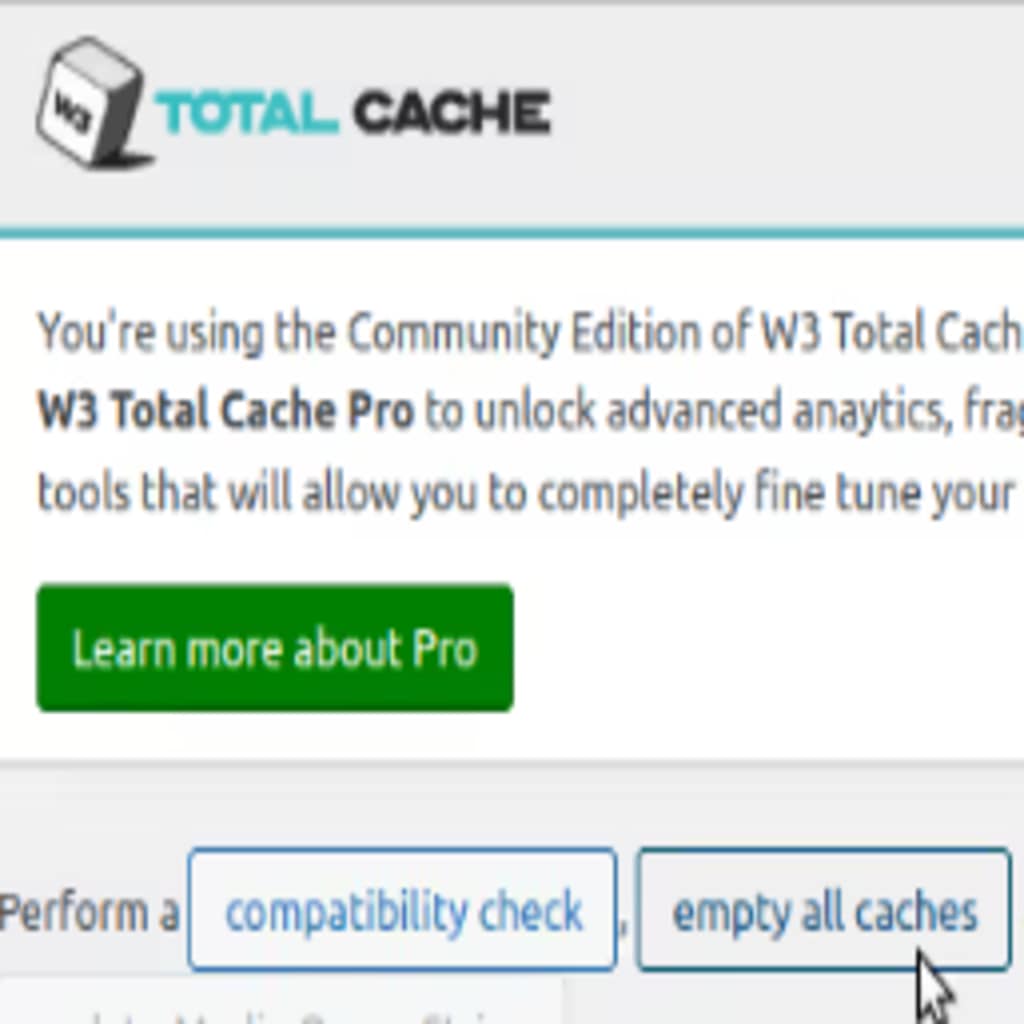 w3 total cache screenshot