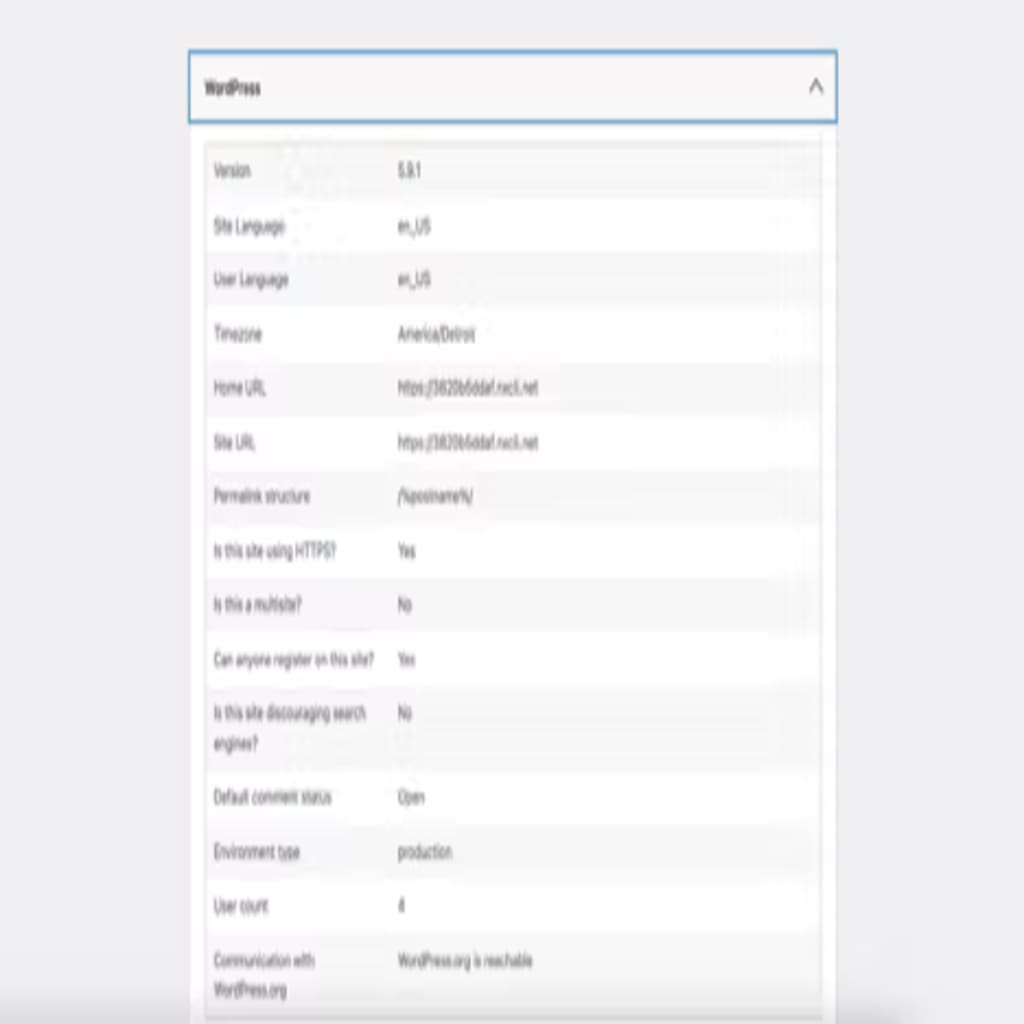 wp troubleshooting info page