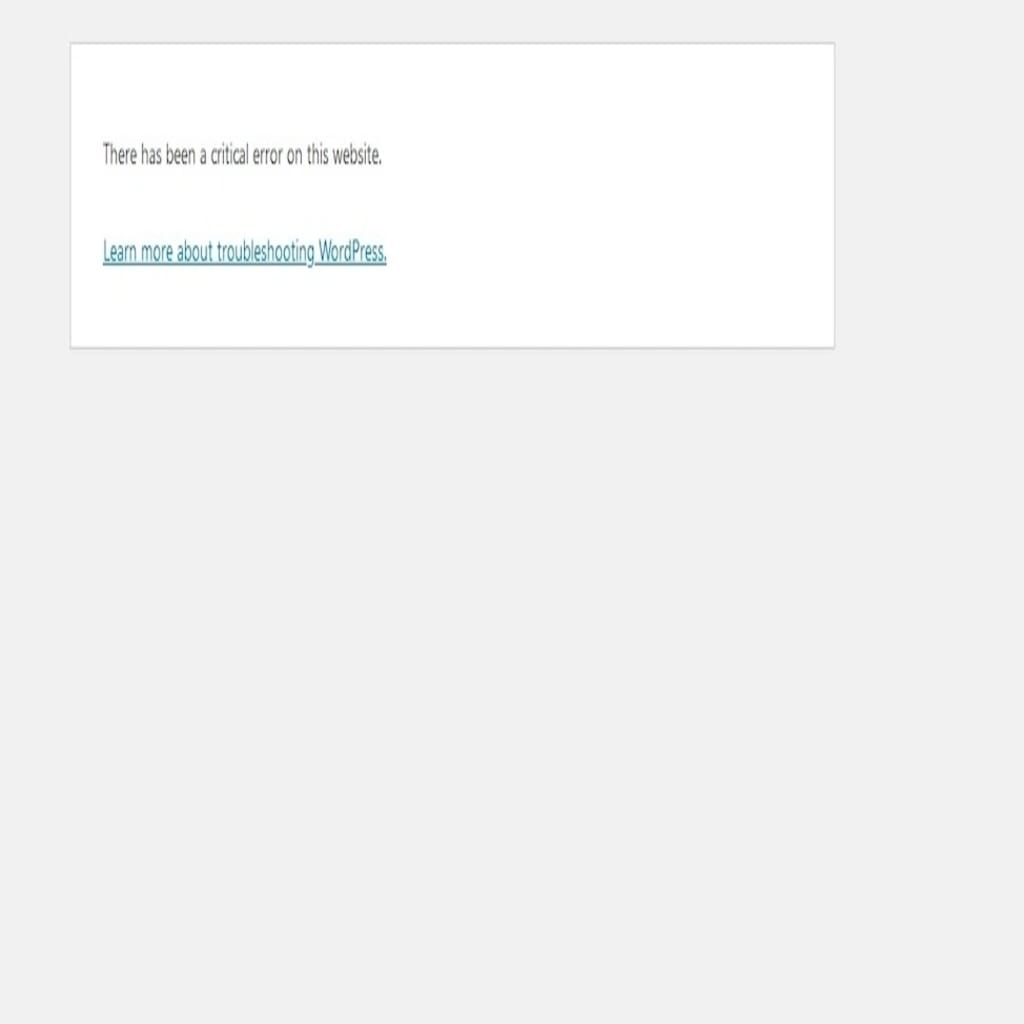 critical error screenshot