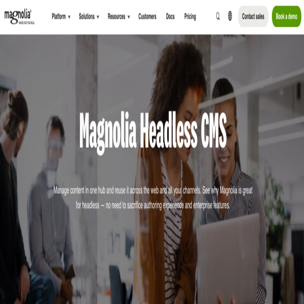 Magnolia is the best headless CMS for hybrid architecture.