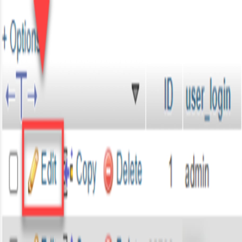 editing wp user