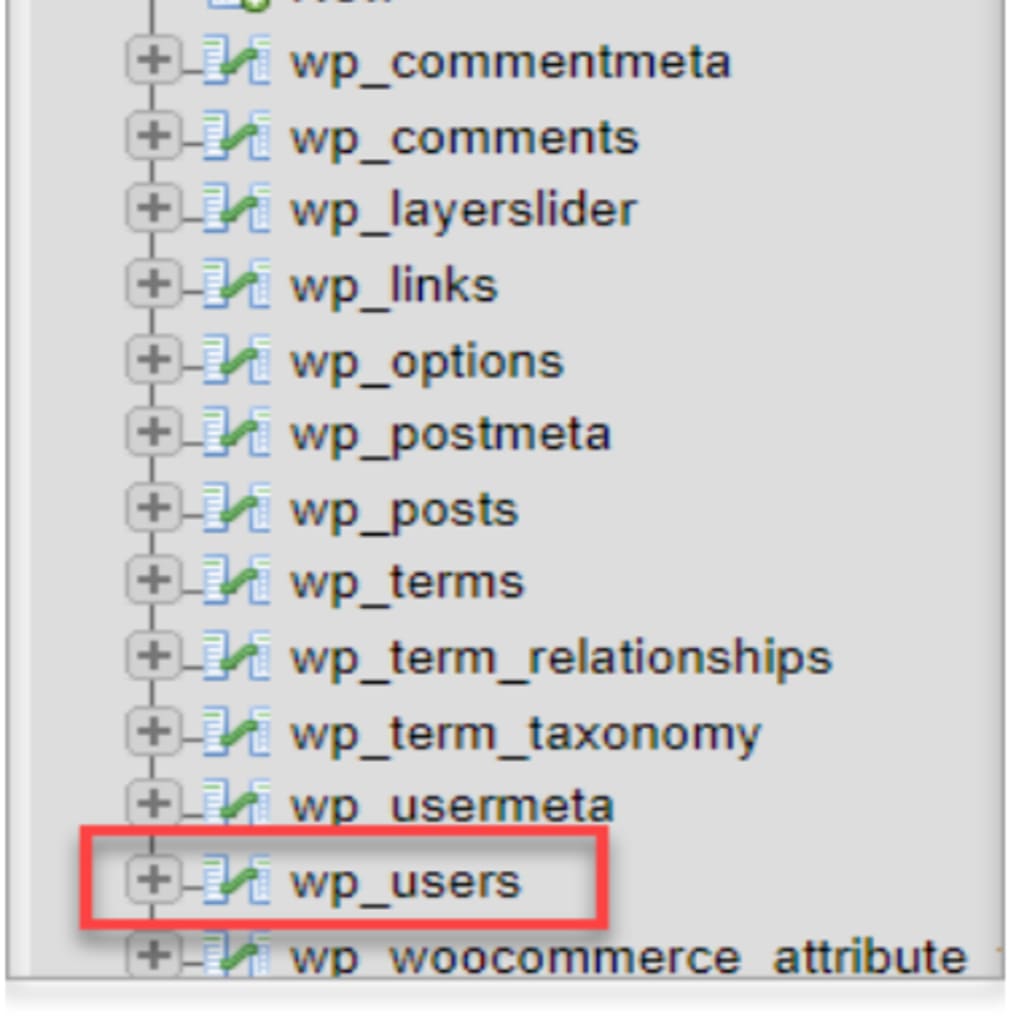 wp_users screenshot