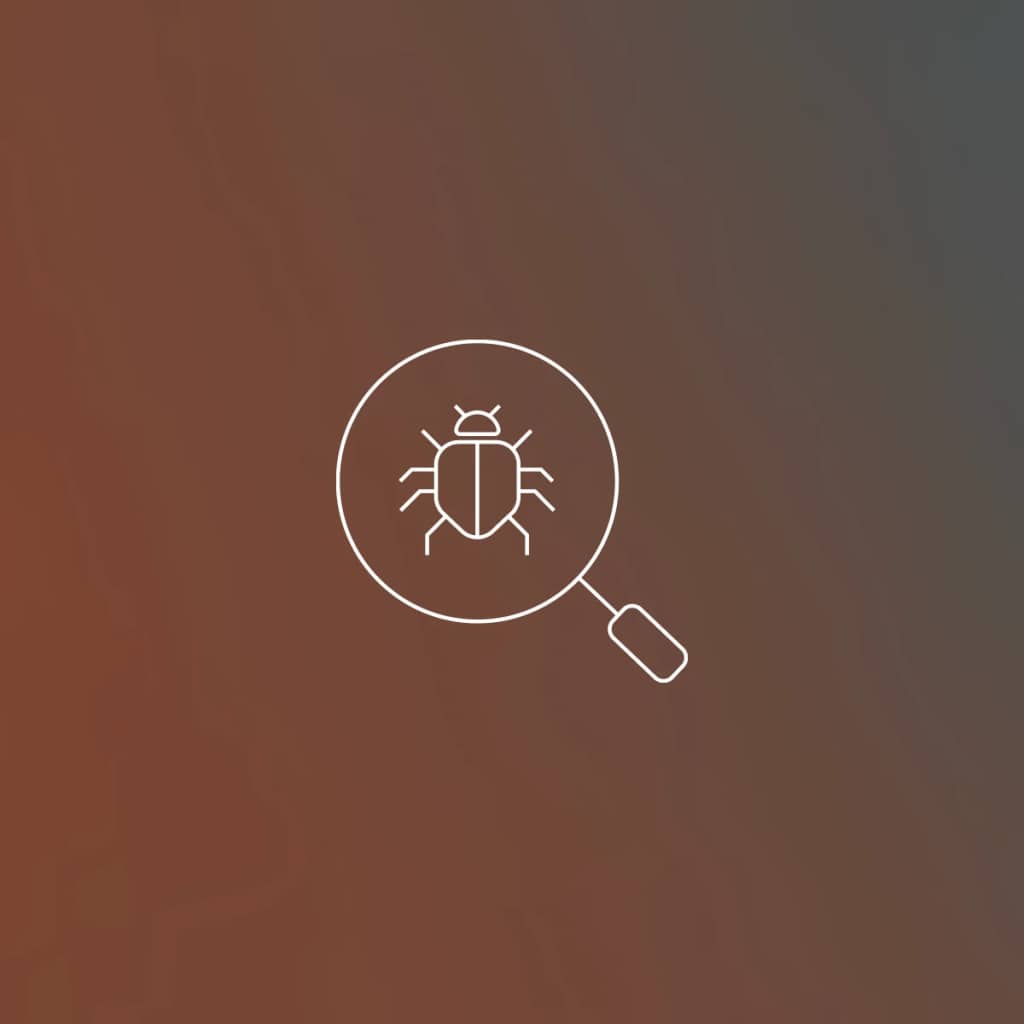 Illustration of a magnifying glass over a bug on a gradient background.
