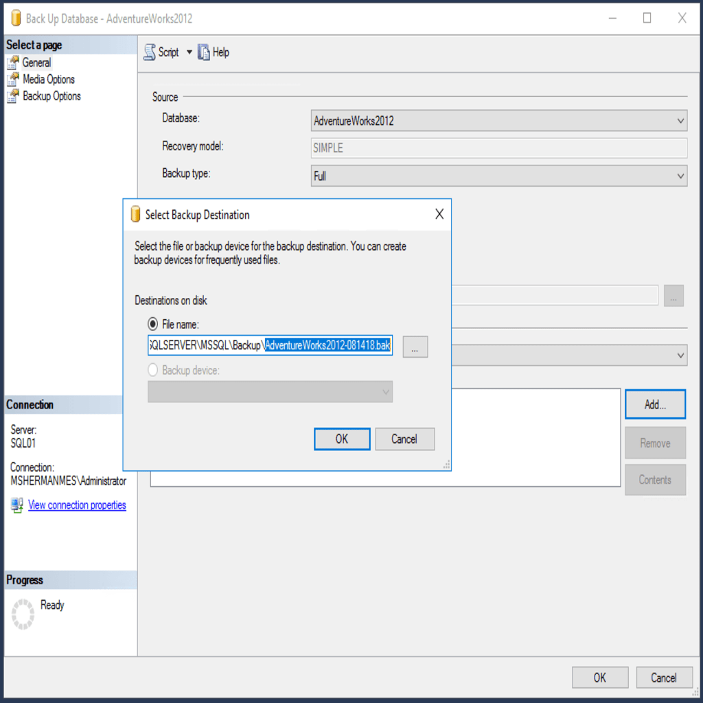Set the file name with the .bak extension in Microsoft SQL Server Management Studio