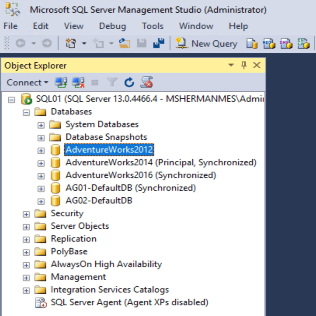 Select your database within Microsoft SQL Server Management Studio.