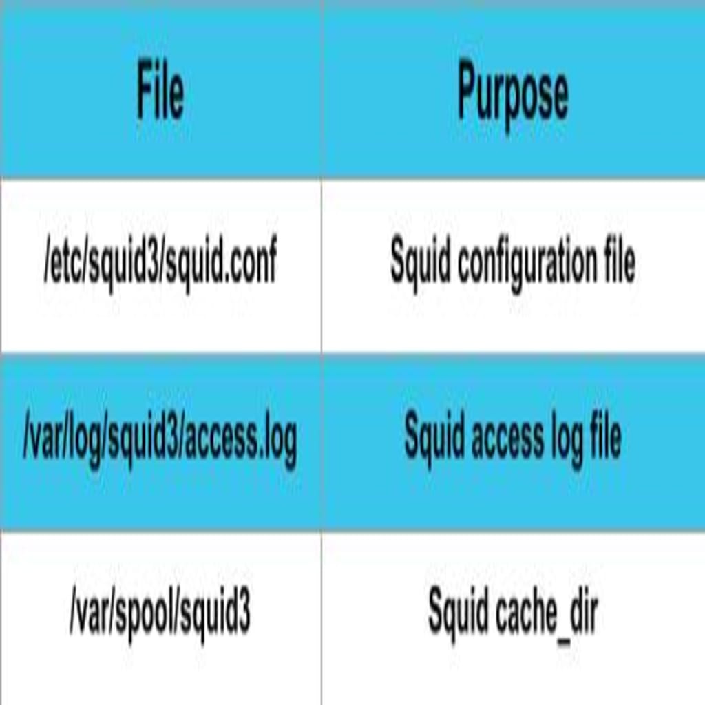 squid_locations
