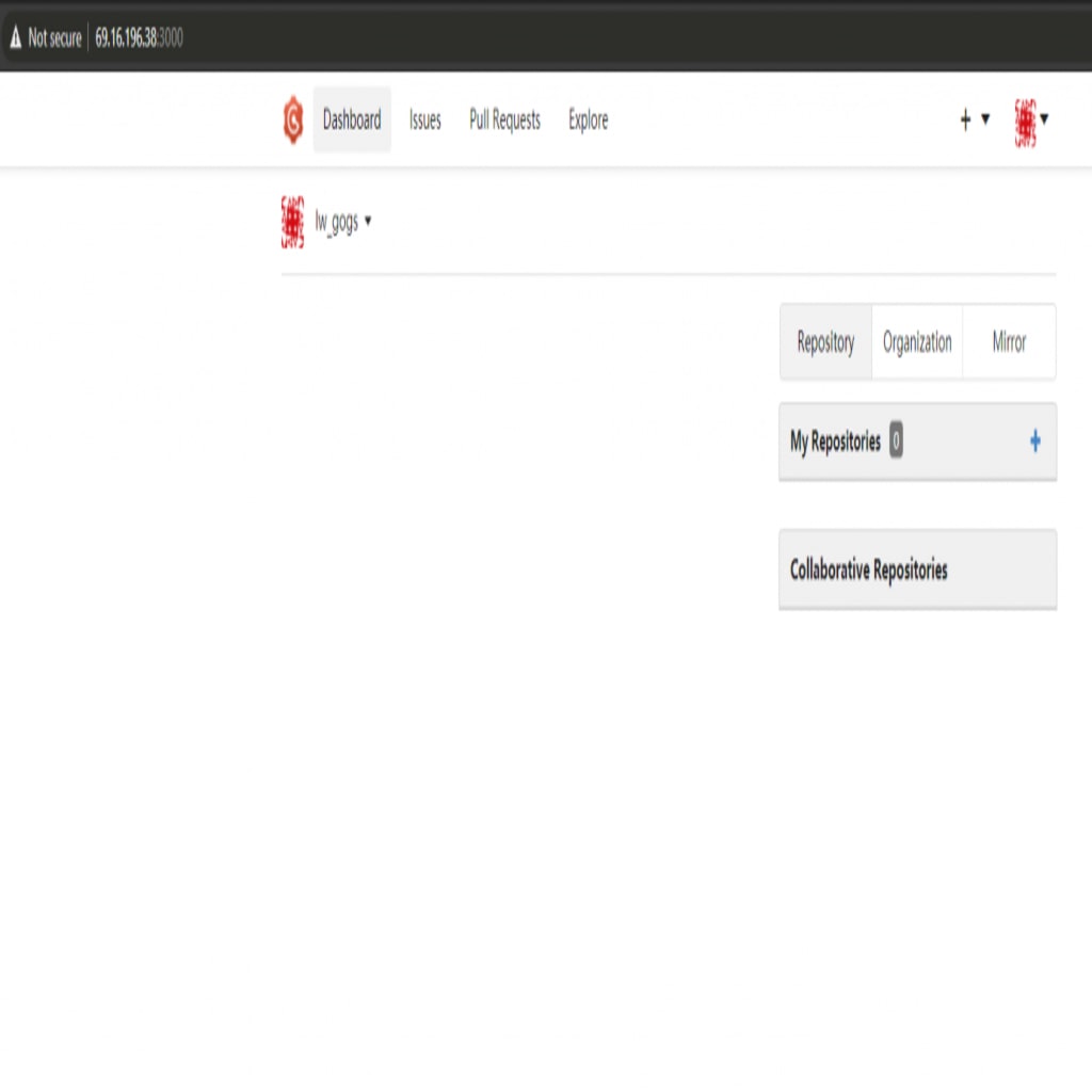 4-gogs-successful-installation