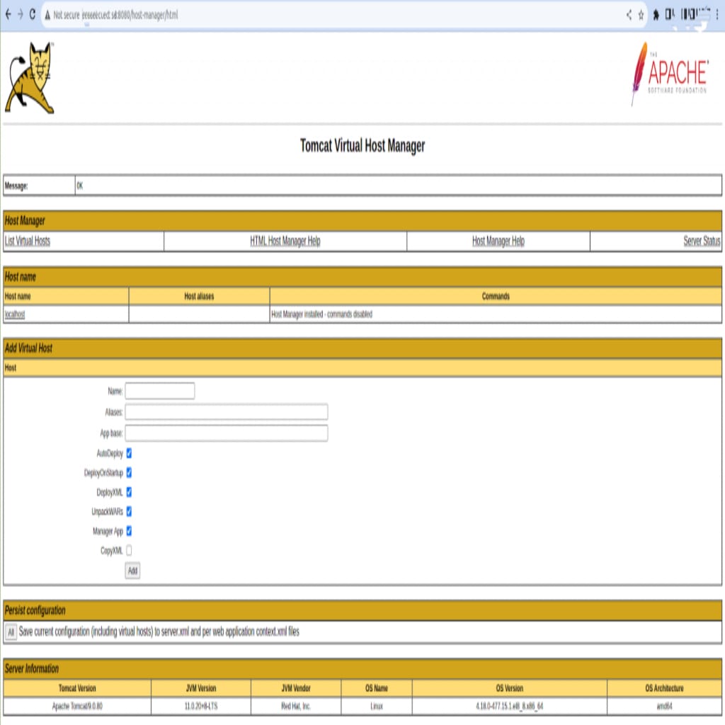 How to Install Apache Tomcat on Linux (AlmaLinux): Host Manager App - Tomcat Virtual Host Manager Detailed View