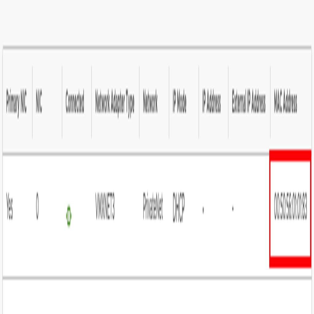 mac address highlighted