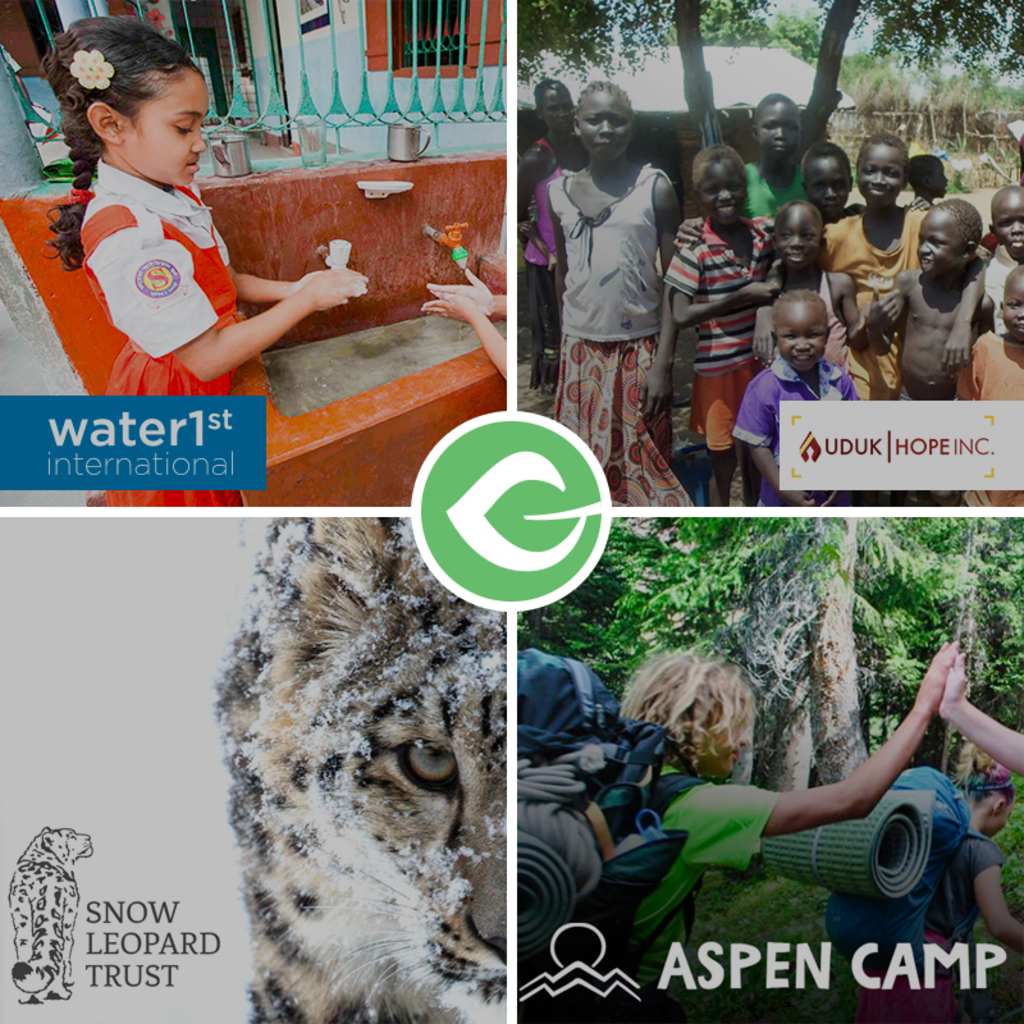 Collage of four previous Give Story submissions
