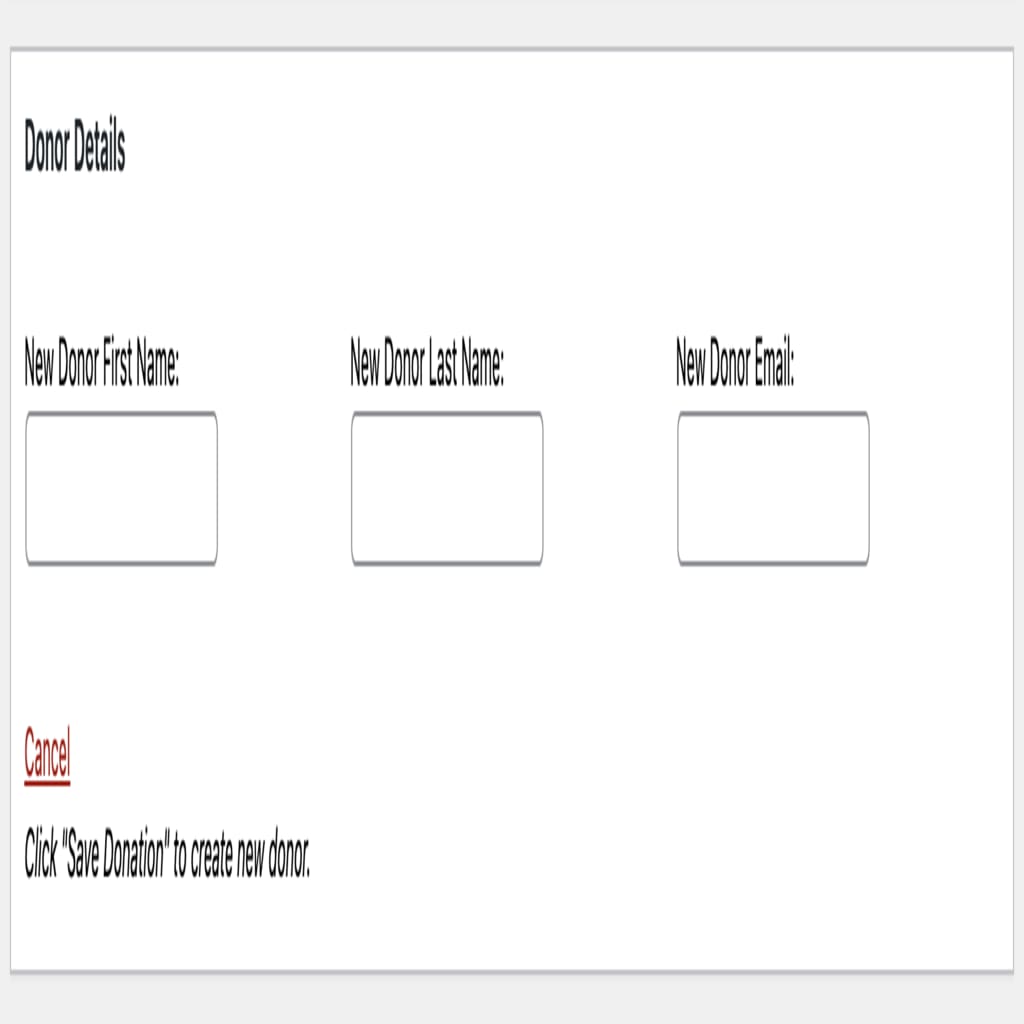 Donor Details - new donor section screenshot where you can enter the first and last name and email address of a new donor.