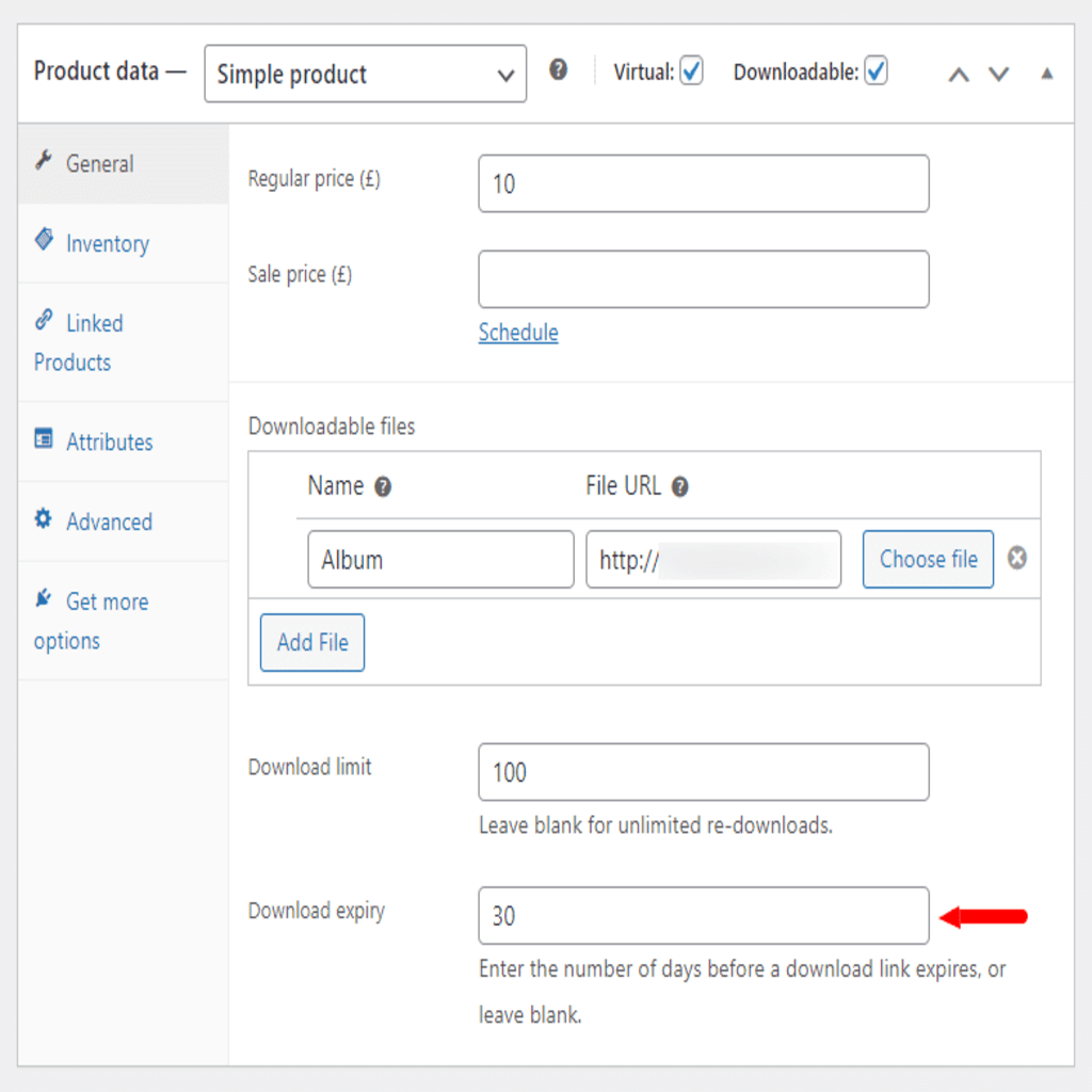 digital product download expiry
