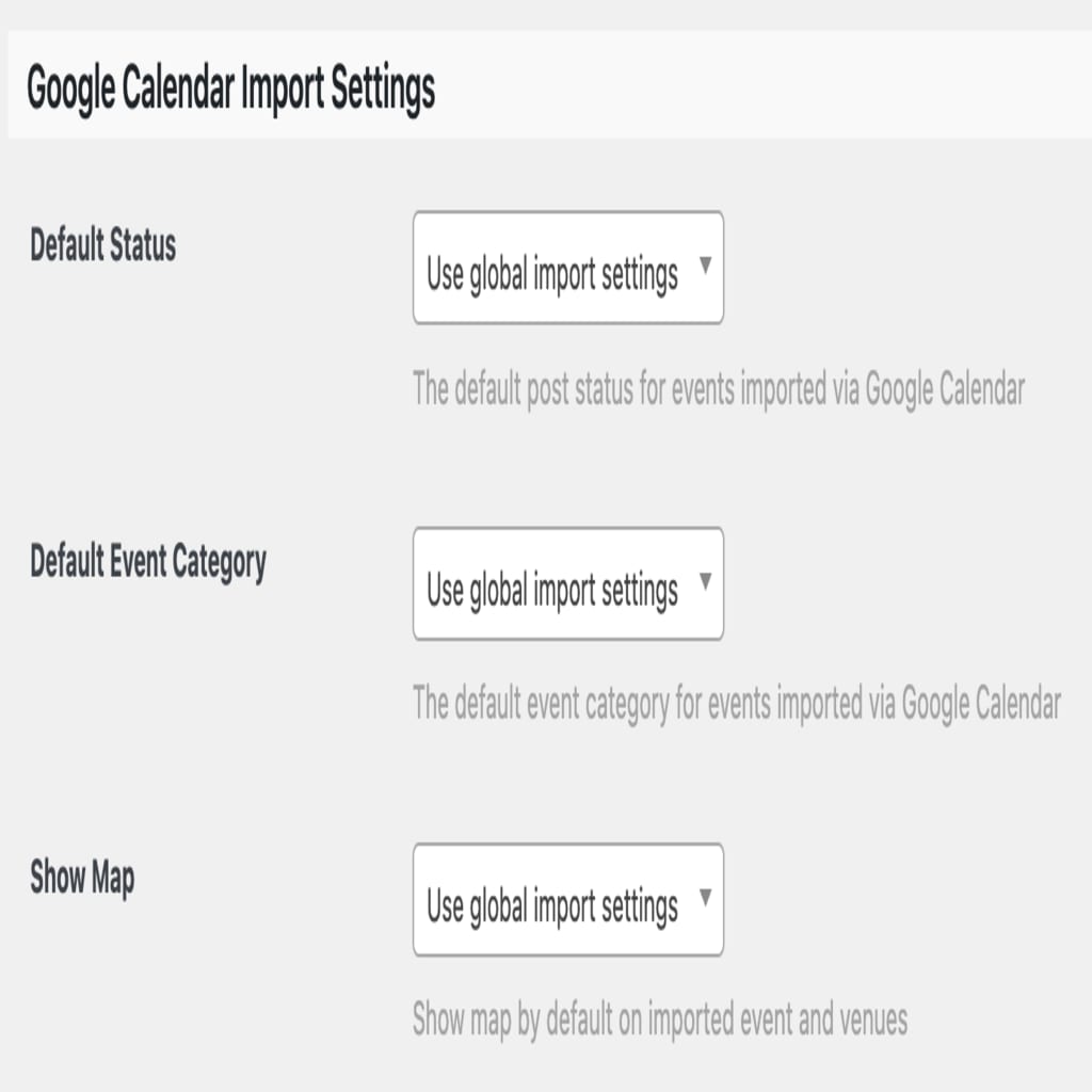 Google Calendar Import Settings