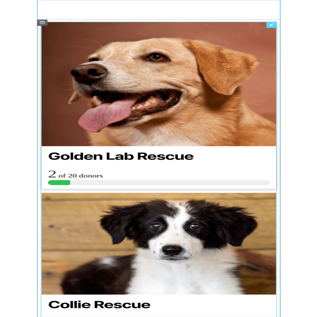 GiveWP Form Grid Widget