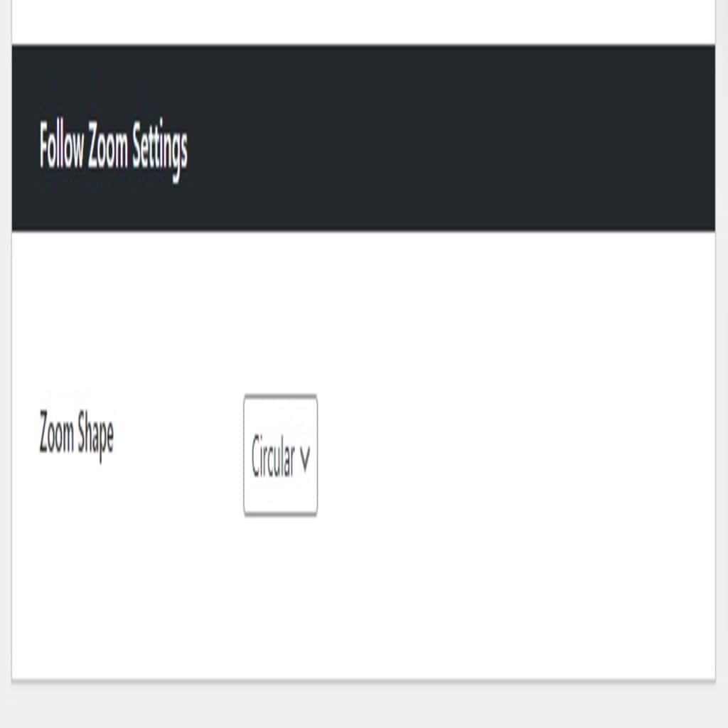 follow zoom settings