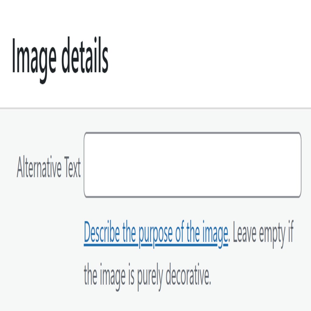 Image alternative texts are extremely important for website accessibility for nonprofits.