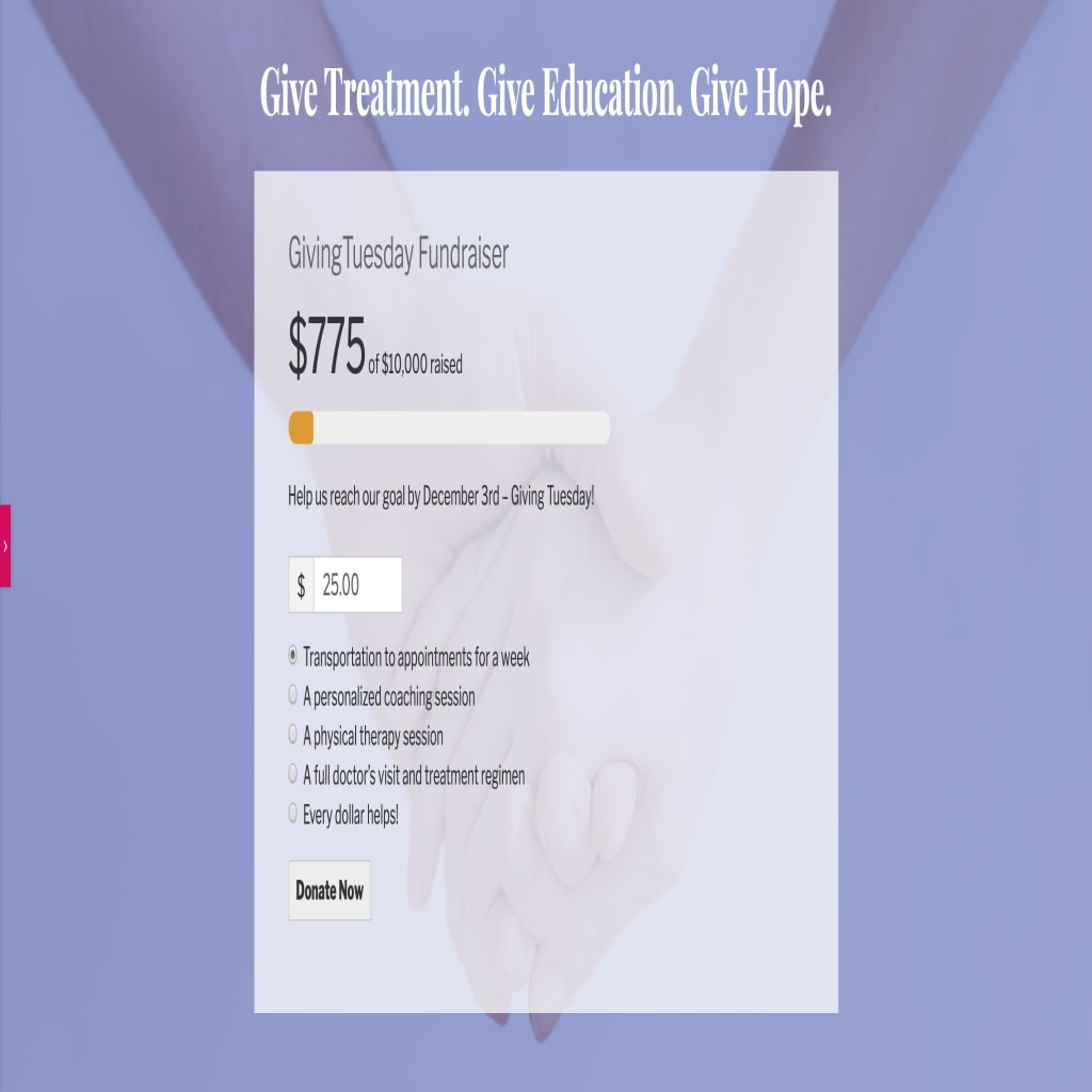 Your final Call to Action section should remain focused on donating only and have no distractions, like this form at the bottom of our landing page..