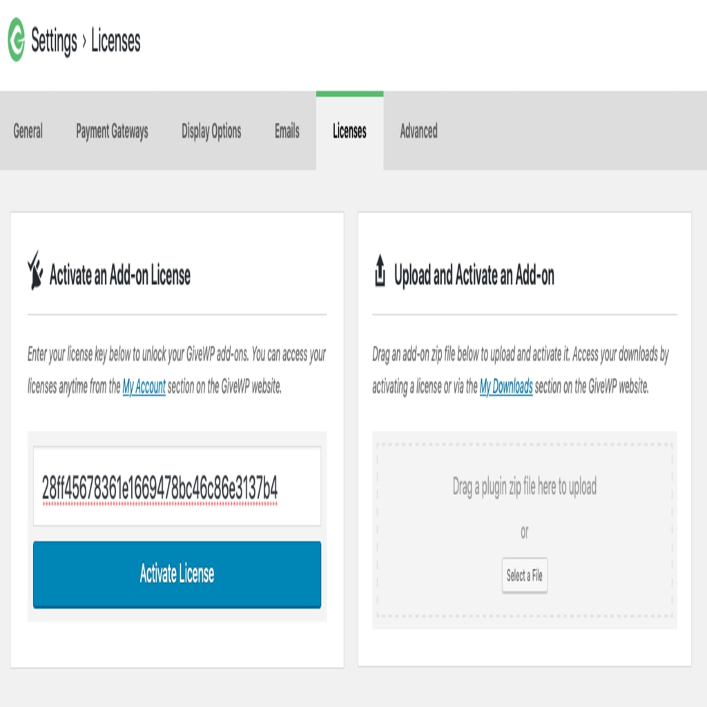 screenshot of the licenses tab with a faux-key entered in.