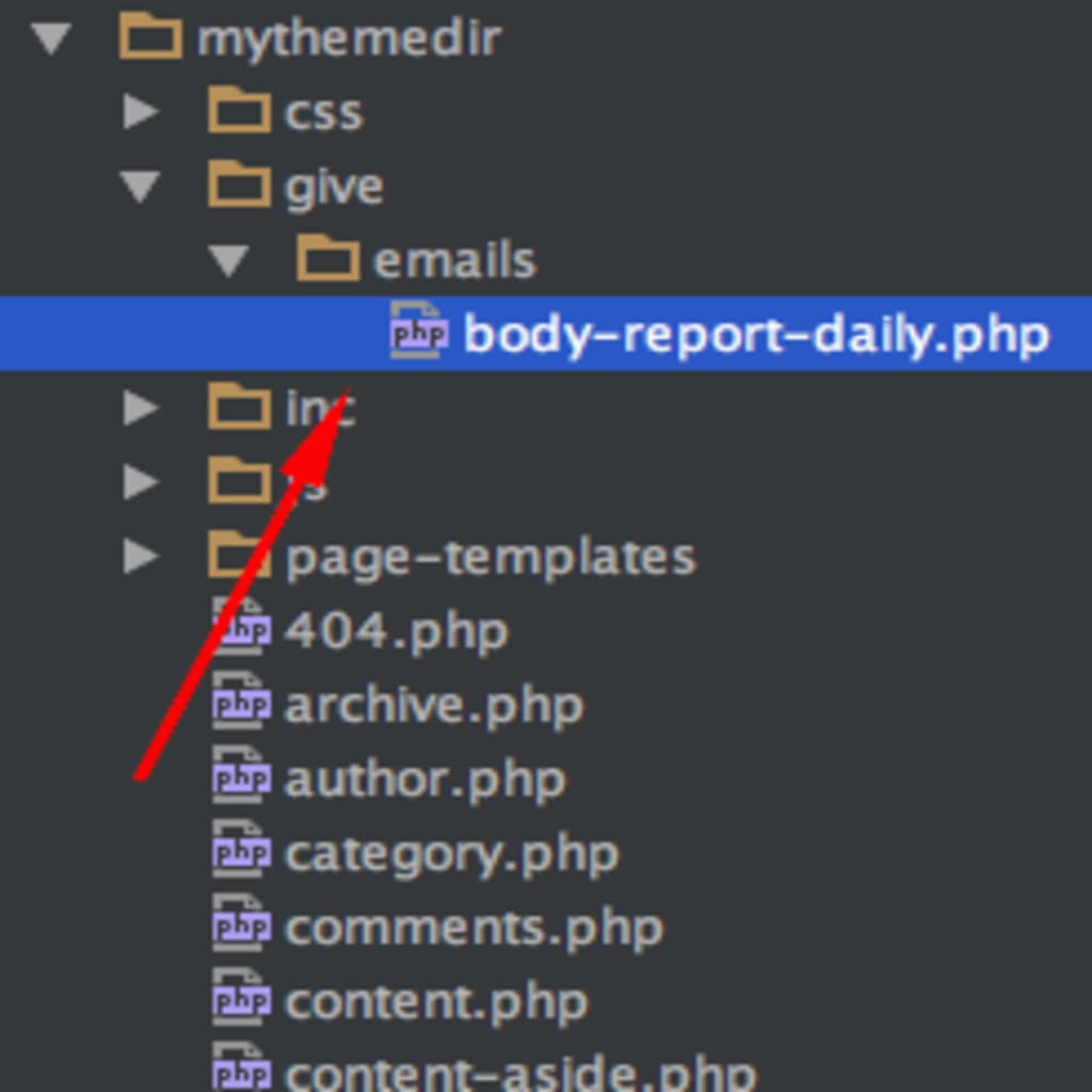 Overriding the default daily email report template