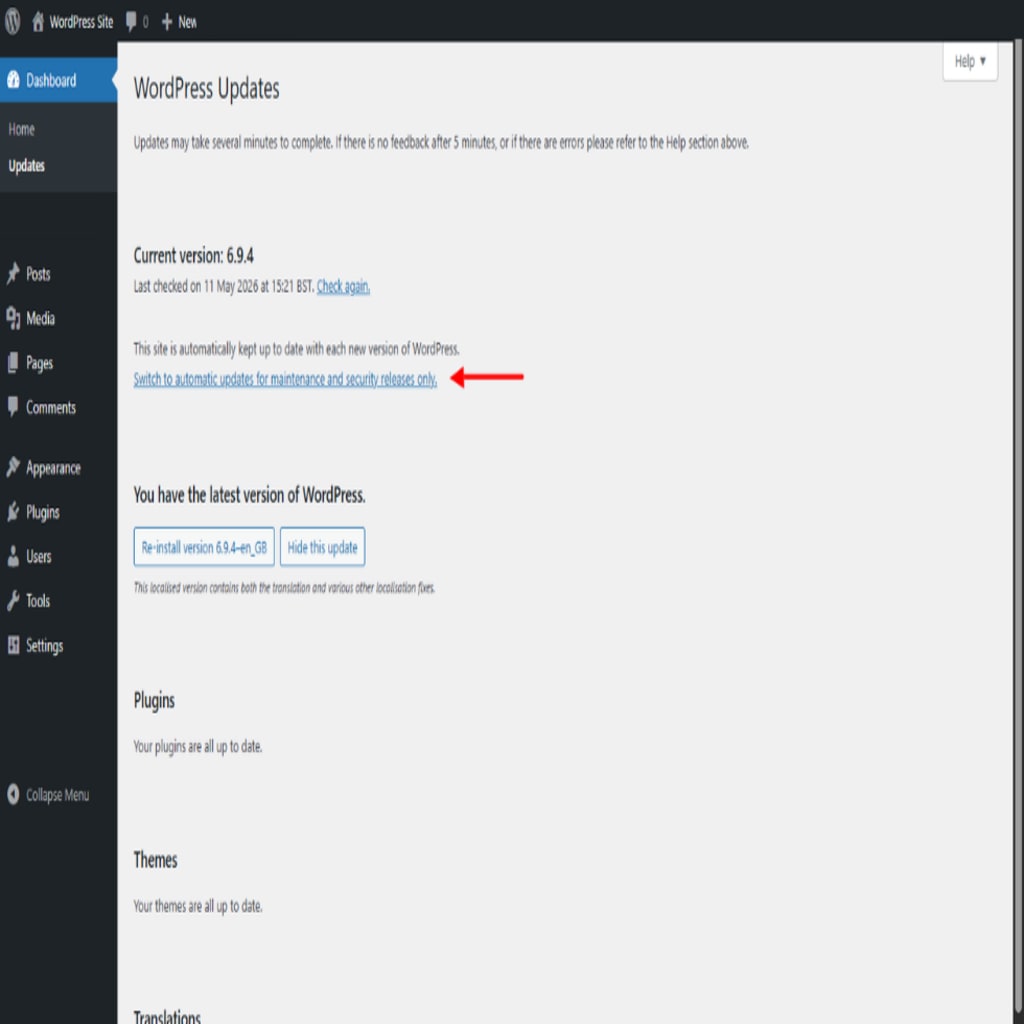 auto update wordpress core