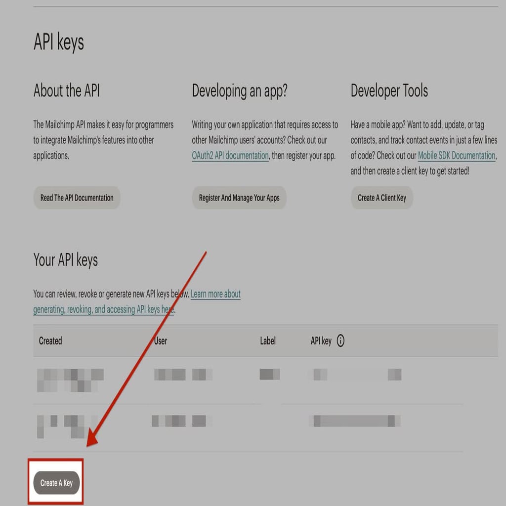 Mailchimp Step 5