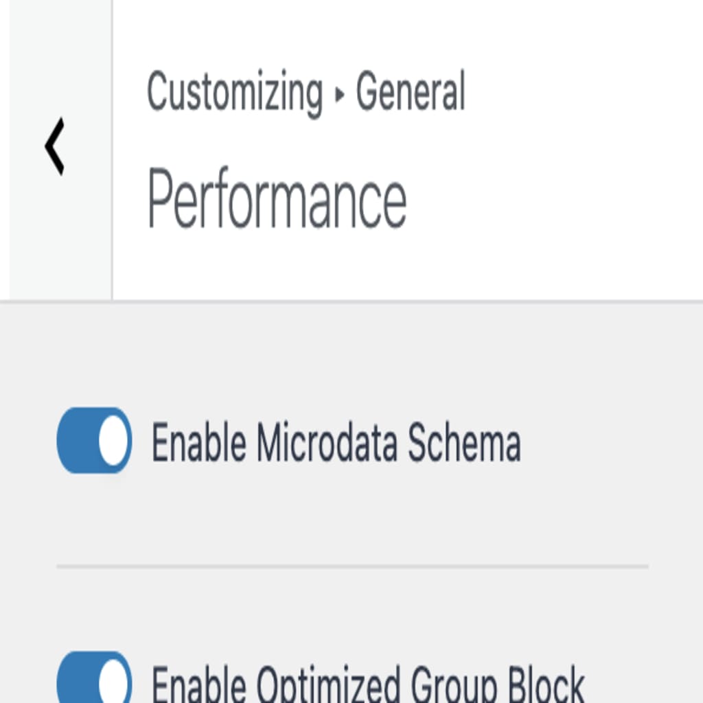 Customizer Microdata setting