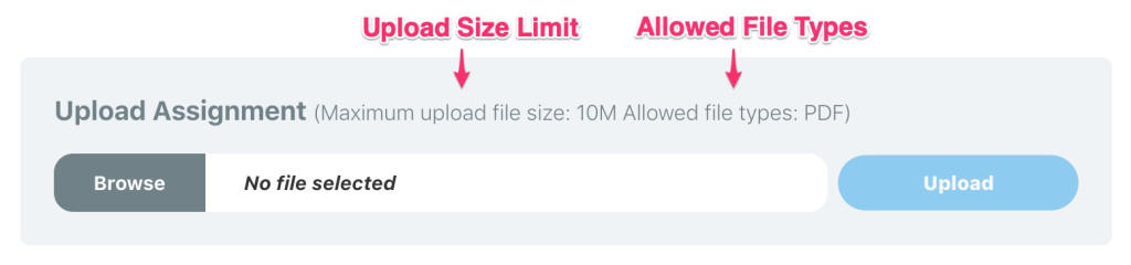 LearnDash assignments, upload size & file types messages to users