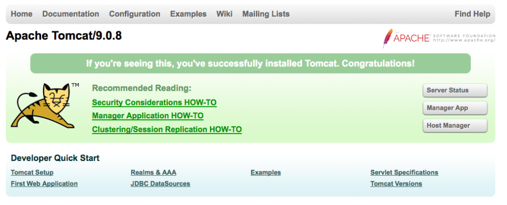 tomcat1