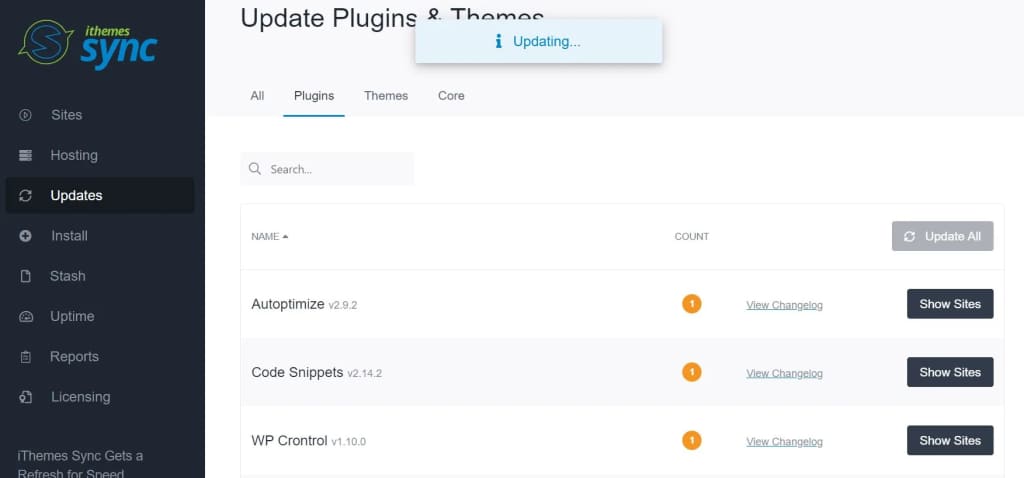solid central wp plugin updating