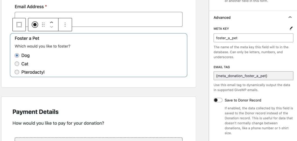 GiveWP Form Field Manager option for where to save the data.
