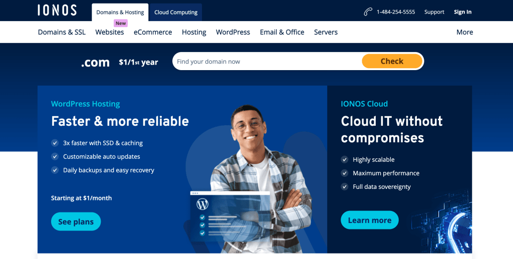 Ionos website