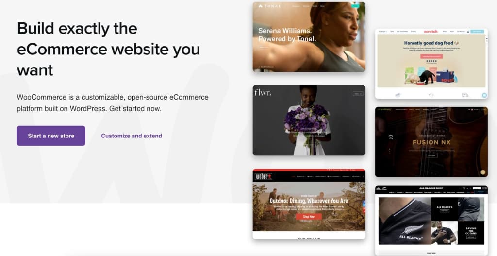 WooCommerce is a great platform for building a profitable ecommerce business.
