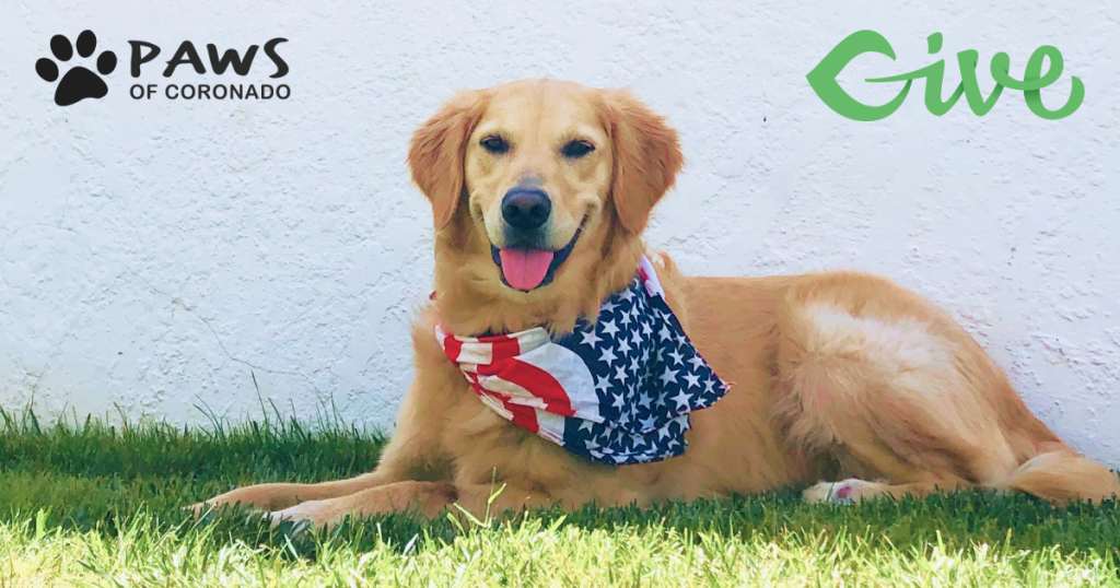 PAWS of Coronado 2020 Give Story Featured Image