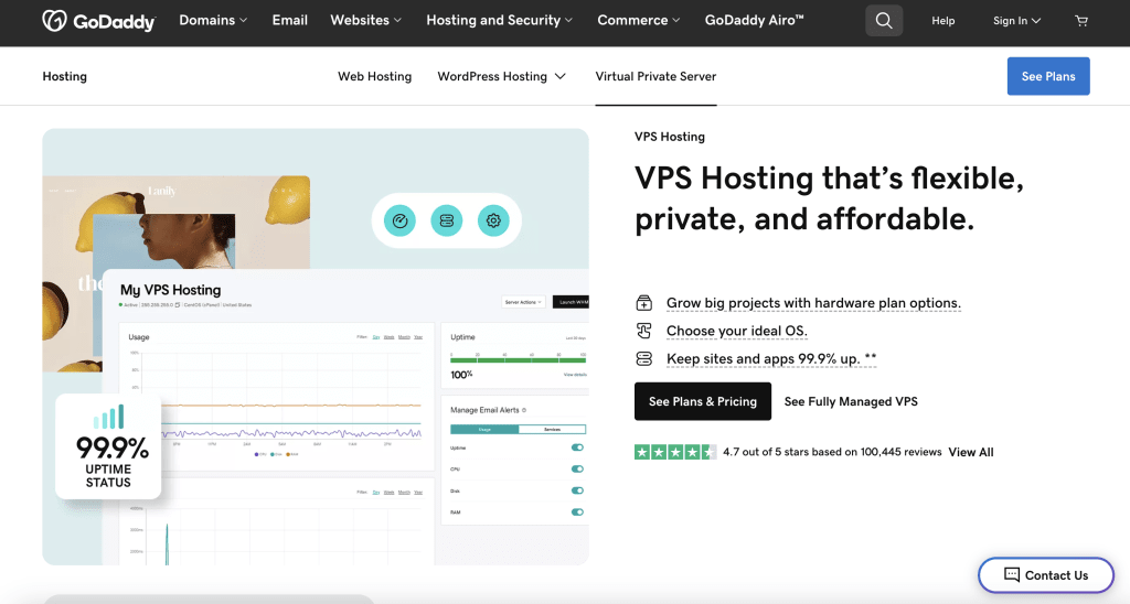 GoDaddy is a cheap VPS hosting provider that supports various operating systems.