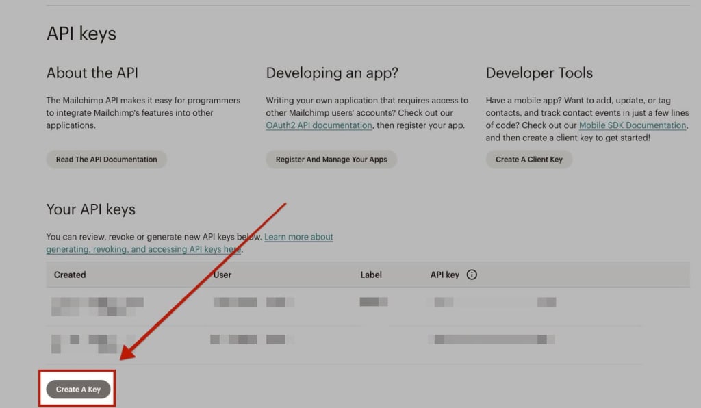 Mailchimp Step 5