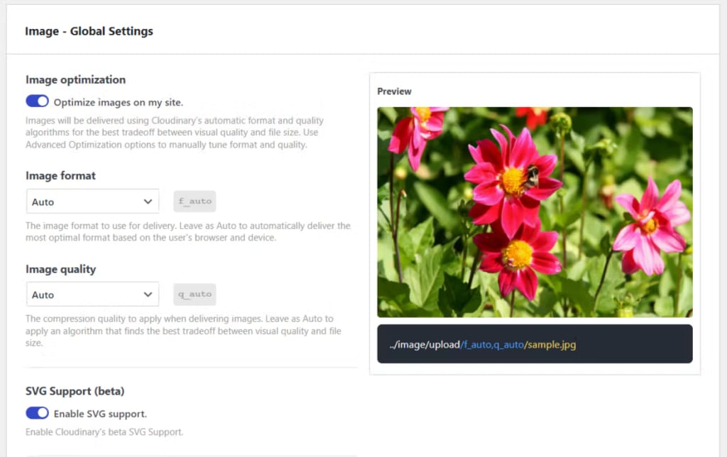 Cloudinary image optimization settings