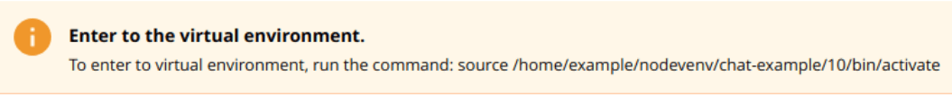 enter virtual environment command