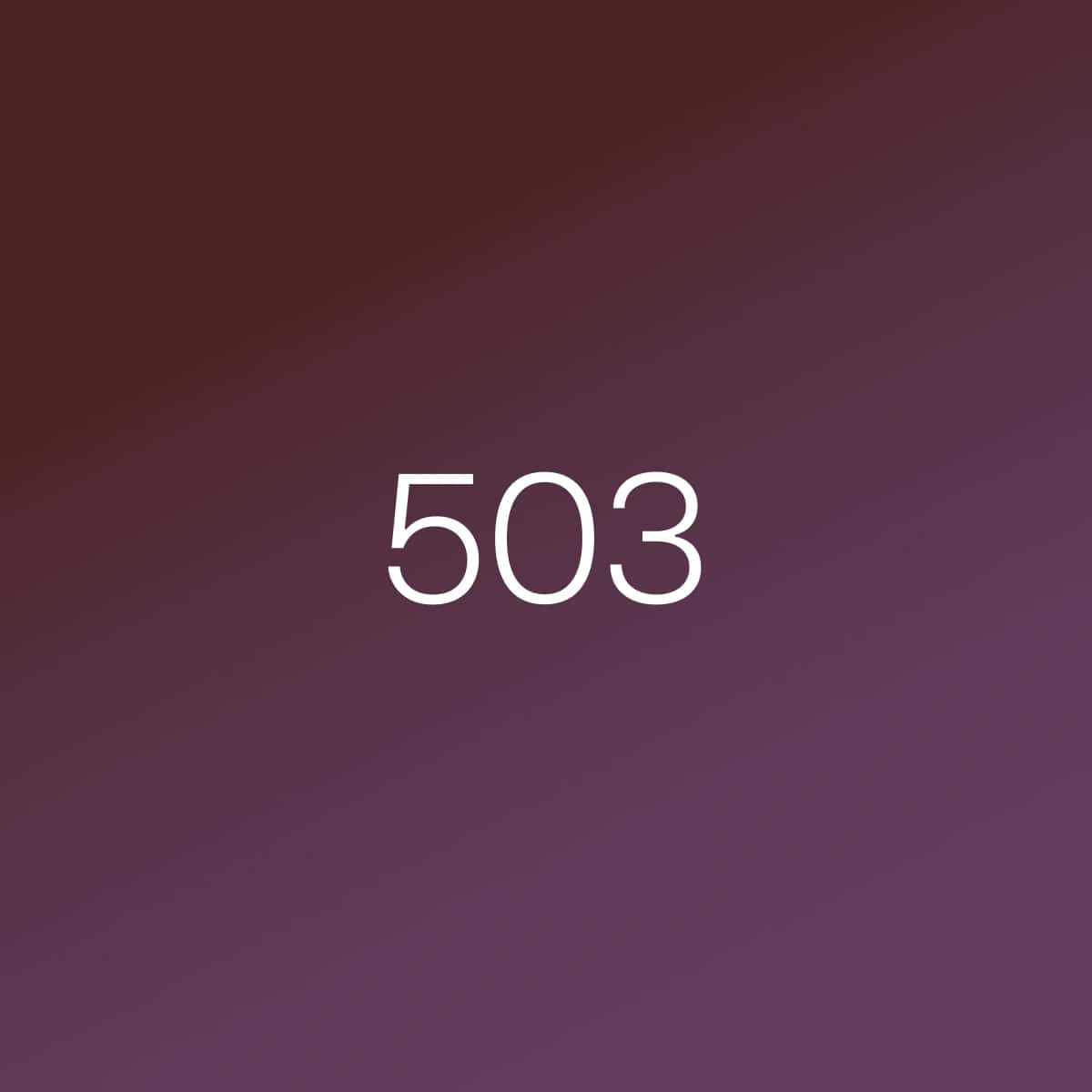 What is the 503 service temporarily unavailable error?