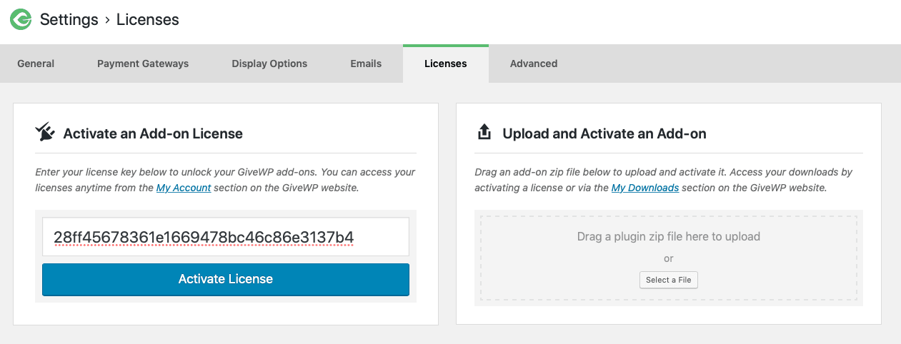 screenshot of the licenses tab with a faux-key entered in.