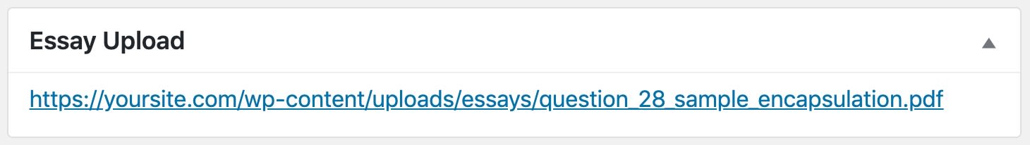 LearnDash essay, download file in admin